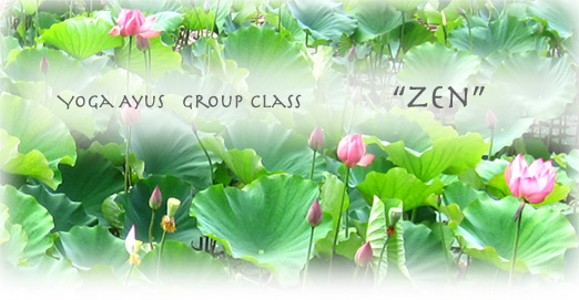 group-class-zen group-class-zen