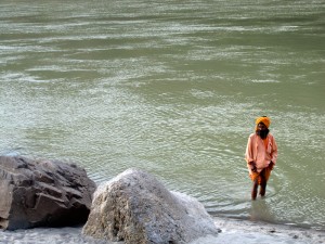 gangama_orange